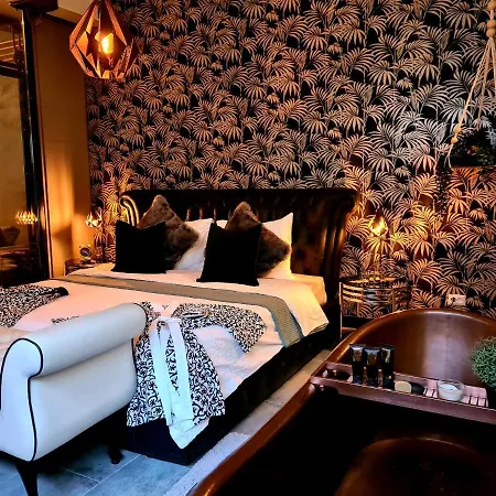 Luttik No 5 * Alkmaar